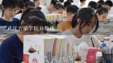 武汉音乐学院分数线,武汉音乐学院2019录取分数线是多少