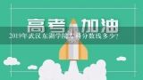 2019年武汉东湖学院专科分数线多少？2019年武汉东湖学院专科需要多少分进？