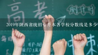 2019年陕西省统招专升本各学校分数线是多少?