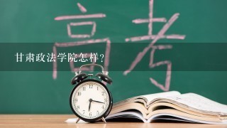 甘肃政法学院怎样？