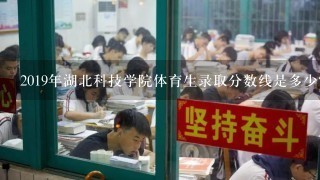 2019年湖北科技学院体育生录取分数线是多少？