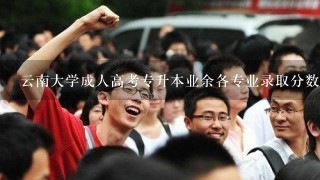 云南大学成人高考专升本业余各专业录取分数线是多少?