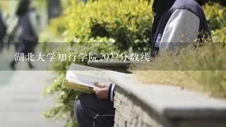 湖北大学知行学院2022分数线