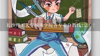 长沙理工大学城南学院各专业分数线?急！！