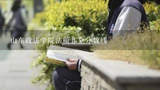 山东政法学院法硕非全分数线