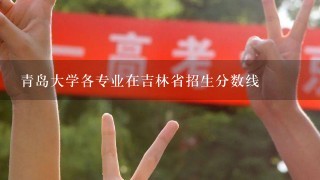 青岛大学各专业在吉林省招生分数线