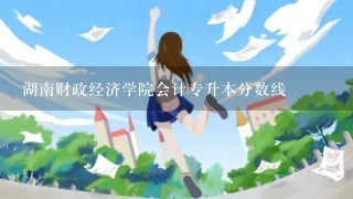 湖南财政经济学院会计专升本分数线