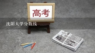 沈阳大学分数线