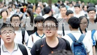 青岛农业大学录取分数线2022