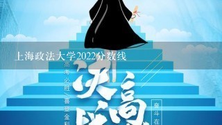 上海政法大学2022分数线