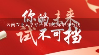 云南农业大学专科体育生录取分数线