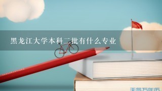 黑龙江大学本科二批有什么专业