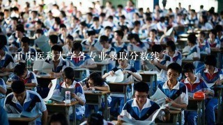 重庆医科大学各专业录取分数线