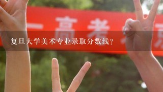 复旦大学美术专业录取分数线？