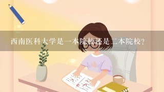 西南医科大学是一本院校还是二本院校？