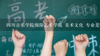 四川音乐学院绵阳艺术学院 美术文化 专业是多少分