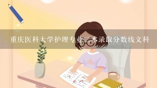 重庆医科大学护理专业二本录取分数线文科