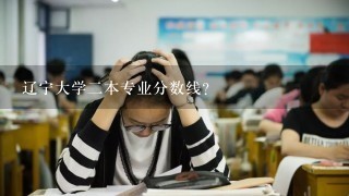 辽宁大学二本专业分数线？