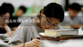 西安财经大学分数线