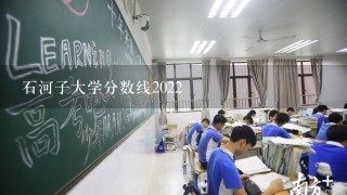 石河子大学分数线2022