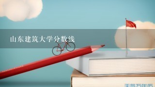 山东建筑大学分数线