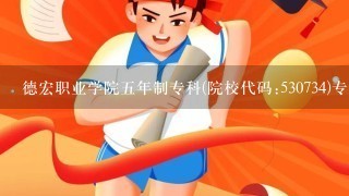 德宏职业学院五年制专科(院校代码:530734)专业汽车检测与维修技术录取名单最低分数是多少？