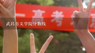 武昌首义学院分数线