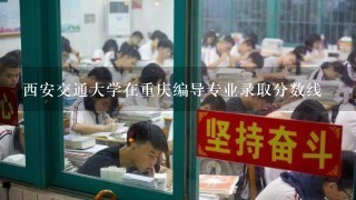 西安交通大学在重庆编导专业录取分数线