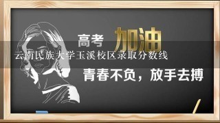 云南民族大学玉溪校区录取分数线