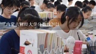 内蒙古财经大学分数线2021