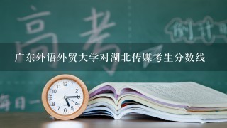 广东外语外贸大学对湖北传媒考生分数线