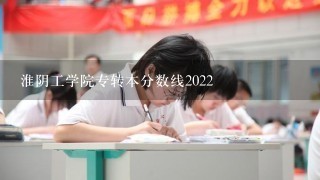 淮阴工学院专转本分数线2022