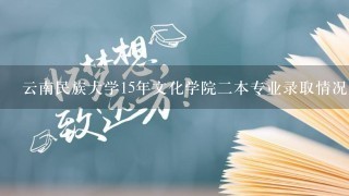 云南民族大学15年文化学院2本专业录取情况?