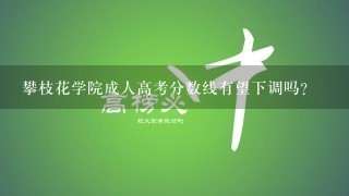 攀枝花学院成人高考分数线有望下调吗？