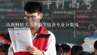 山西财经大学华商学院各专业分数线