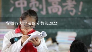 安徽各大学录取分数线2022