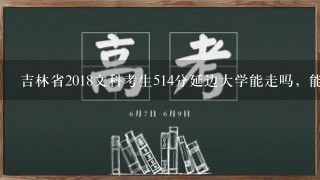 吉林省2018文科考生514分延边大学能走吗，能走什么专业