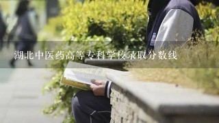 湖北中医药高等专科学校录取分数线