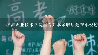 漯河职业技术学院里专升本录取后是在本校还是去其他学校？