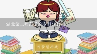 湖北第2师范学院专科分数线