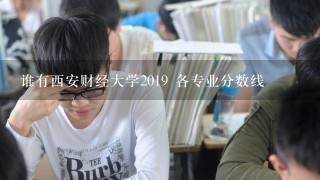 谁有西安财经大学2019 各专业分数线