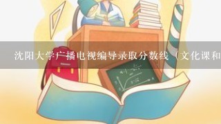 沈阳大学广播电视编导录取分数线（文化课和专业课的分数？？）