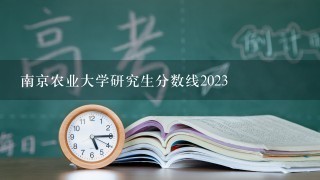 南京农业大学研究生分数线2023