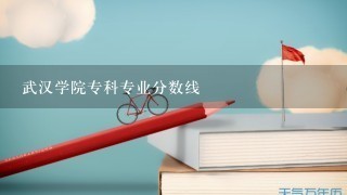 武汉学院专科专业分数线