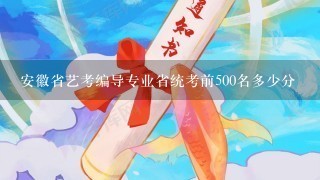 安徽省艺考编导专业省统考前500名多少分