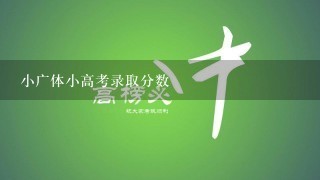 小广体小高考录取分数