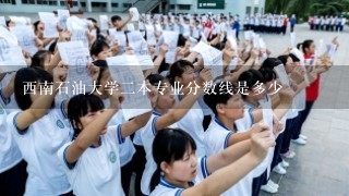 西南石油大学2本专业分数线是多少