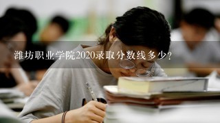 潍坊职业学院2020录取分数线多少？