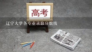 辽宁大学各专业录取分数线