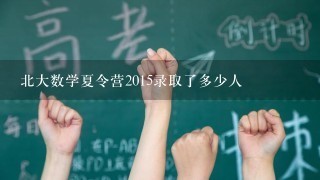 北大数学夏令营2015录取了多少人